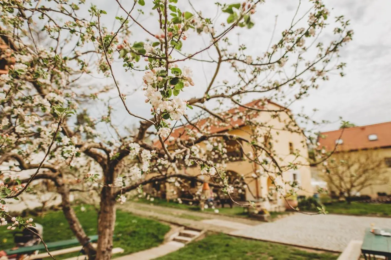 Boutique Apartman Speicher Prague Czech Republic